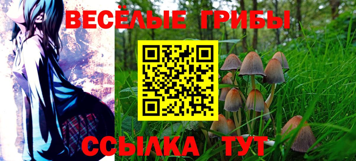 Псилоцибиновые грибы GOLDEN TEACHER Лесной