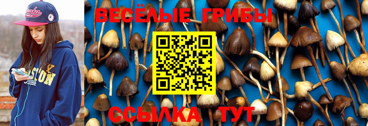 Псилоцибиновые грибы мухоморы  Вход с VPN  Лесной 